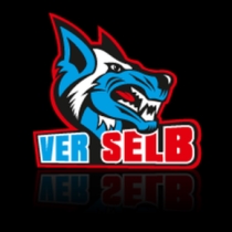 VER Selb e.V.